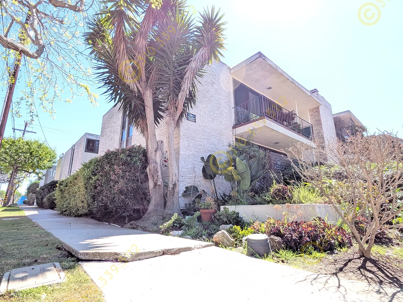 2 bed, 1003 sqft, $2,995 — Photo 3