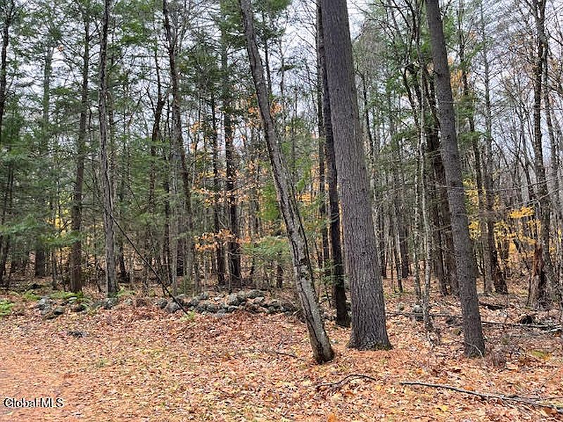 4th image of 54 Woods Hollow Drive