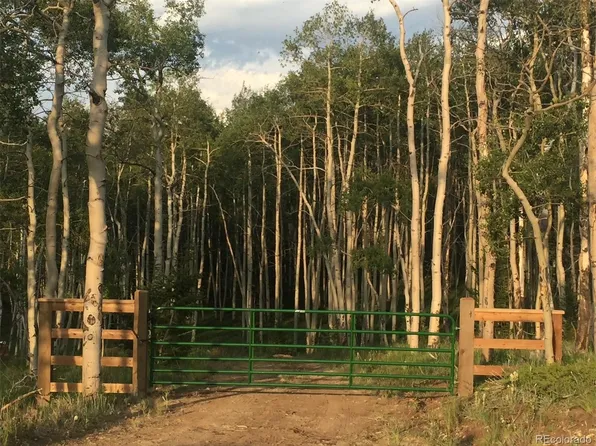 8093 Ranch Road LOT 859, Hartsel, CO 80449