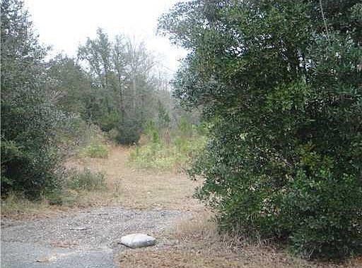 2nd image of Borzik Rd