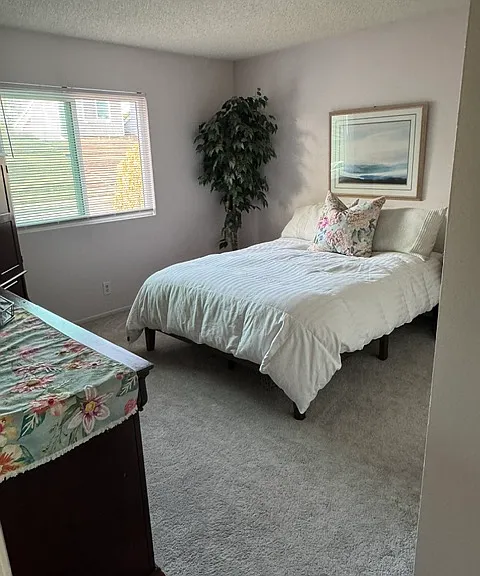 Las Palomas Dr — Photo 7