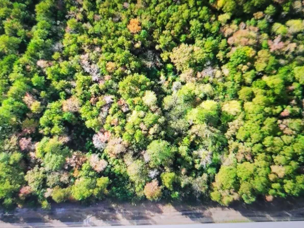 LOT 1 One Sr 1178 Hwy Lot 1, Chocowinity, NC 27817