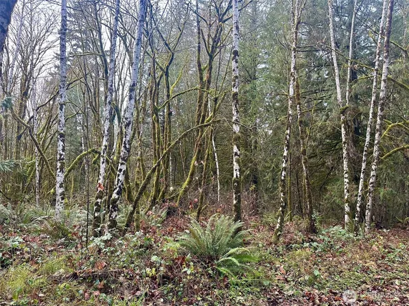 221 SE Lagoon Lane, Shelton, WA 98584