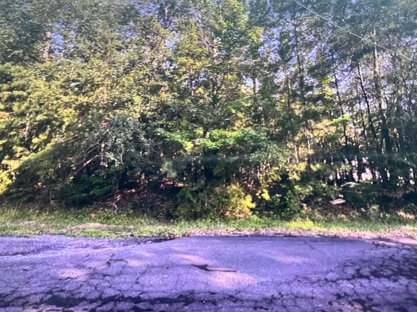 Woodland Cir, Jasper, AL 35504