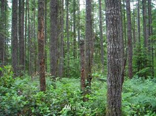 297 Xx, Ravensdale, WA