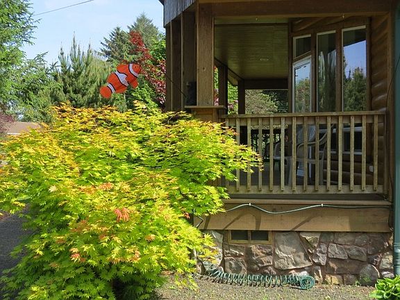 4th image of 437 Snahapish Ave SE