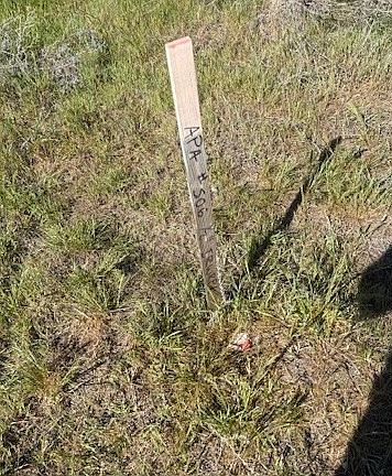 3rd image of Front St NE