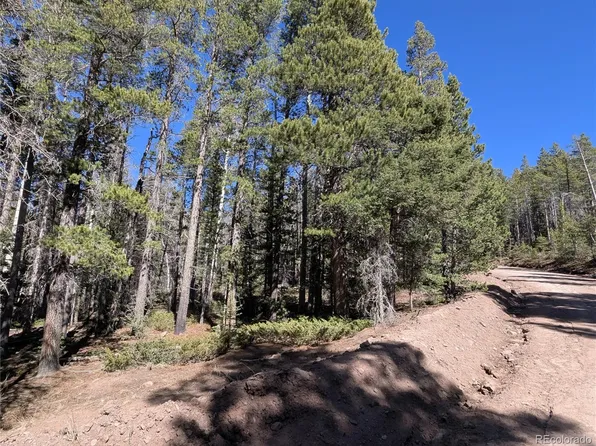 3375 Purnell Lane, Fort Garland, CO 81133