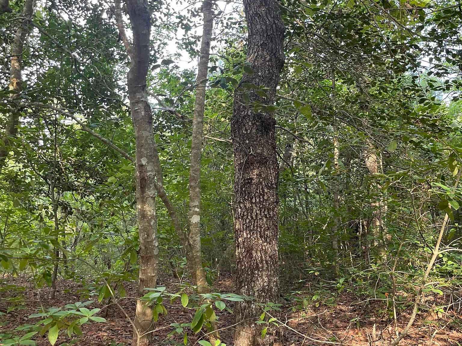 125 Lee St LOT 32, Jarvisburg, NC 27947 Zillow