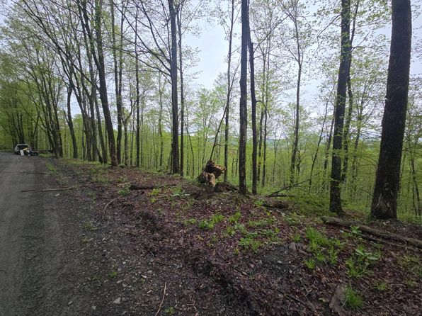 0WP Greenbush Rd, Schenevus, NY 12155