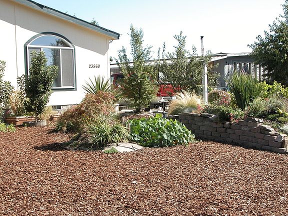 Front landscaping