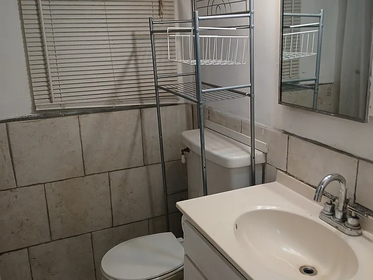 5017 N Springfield Ave #BASEMENT — Photo 9
