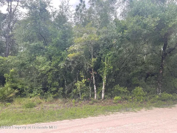 LOT 5 Easter Dr Lot 5, Webster, FL 33597