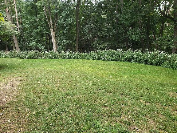 4th image of 3 Pine Needles Dr