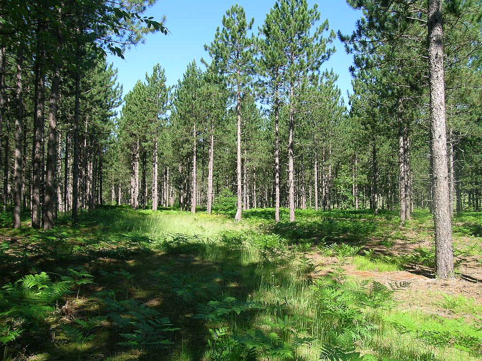 2nd image of 6 High Pines Trl