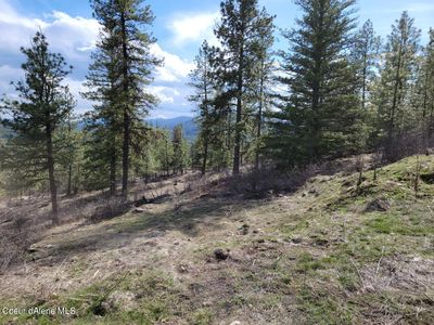 Nna Bear Ridge Trl, Spirit Lake, ID, 83869