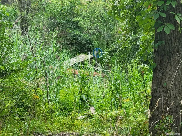 0 Waterview Rd, Grosse Ile, MI 48138