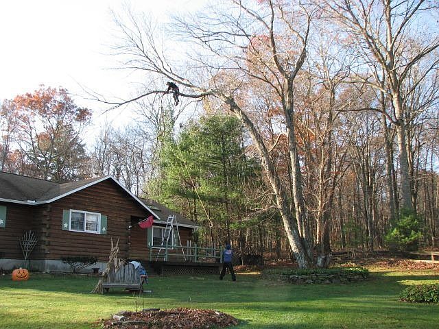 Front yard