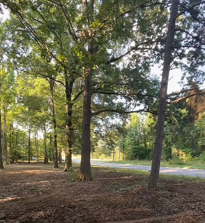 2nd image of 1445 Old Military Rd