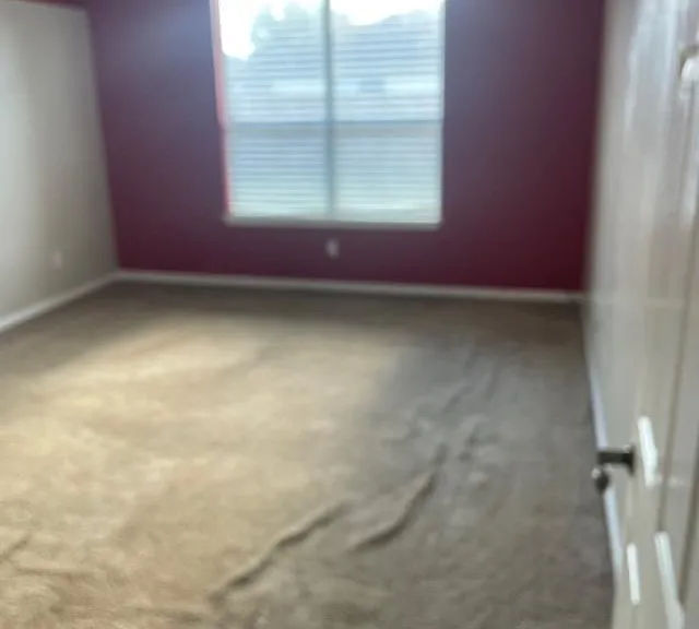 2219 Beacon Light Ln — Photo 10