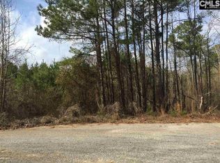 136 Healing Springs Rd, Hopkins, SC 29061