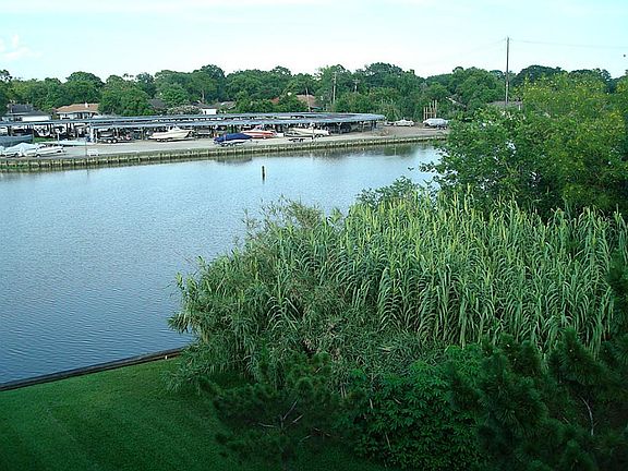 4th image of 18519 Egret Bay Blvd APT 1916