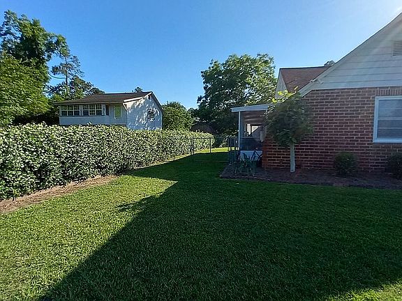 Lovely confederate jasmine