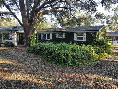 3073 Duane Ave, Oldsmar, FL, 34677