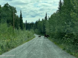 LOT 25 Wrangell Dr, Copper Center, AK 99573