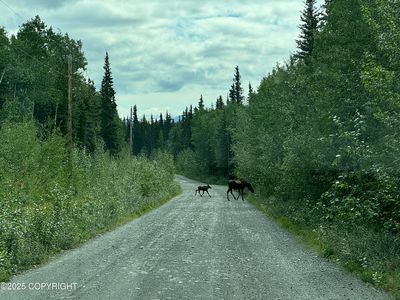 LOT 25 Wrangell Dr, Copper Center, AK, 99573
