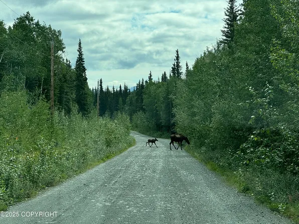 LOT 25 Wrangell Dr, Copper Center, AK 99573