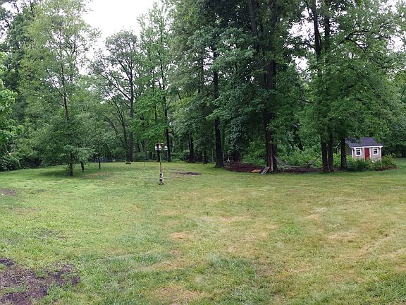 View of backyard from house