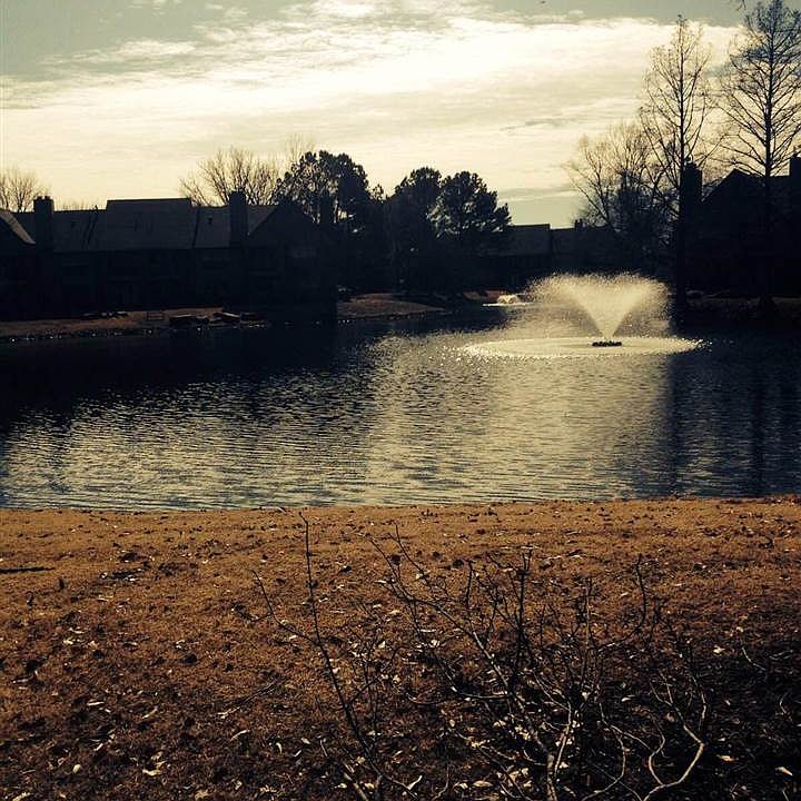 2nd image of 6704 Millers Pond Cres