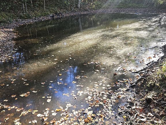 5th image of 0 Luster Rd Lot 3 & 4