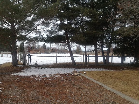 Front Yard / Pasture