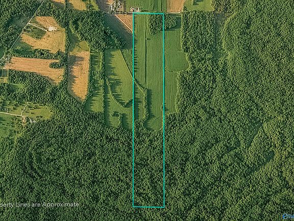 4th image of 99AC Simmons Ln