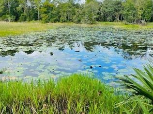 Spring Street East Hwy #318, Citra, FL 32113