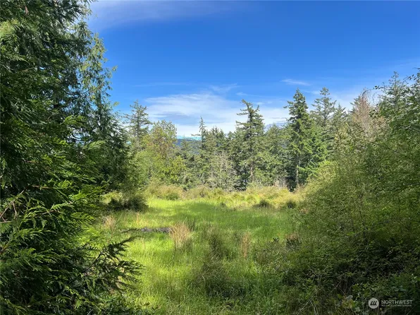249 Osprey Lane, Orcas Island, WA 98245