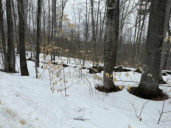 3rd image of Lot 005 Greenwood Brook Road