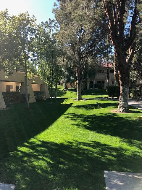 1 bed, 589 sqft, $1,595 — Photo 4