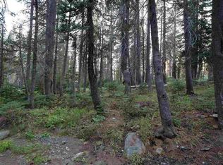 16 Bunny Hill Rd, Soda Springs, CA 95728