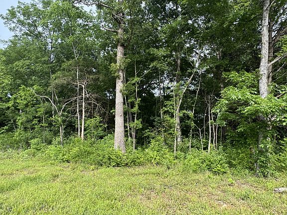 2nd image of 0 Old Nashville Dirt Rd