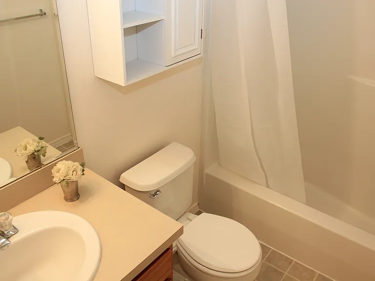 Master Bathroom With Curved Shower Rod, New Large Shower Head, Shower Caddy, Shower Liner & Storage Cabinet.