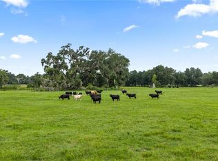 COUNTY ROAD 774, WEBSTER, FL 33597