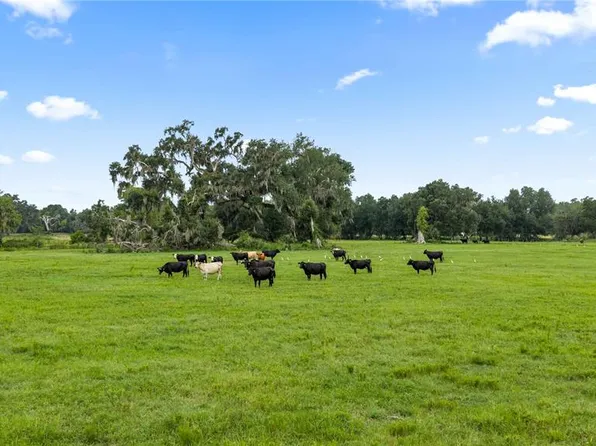 COUNTY ROAD 774, WEBSTER, FL 33597