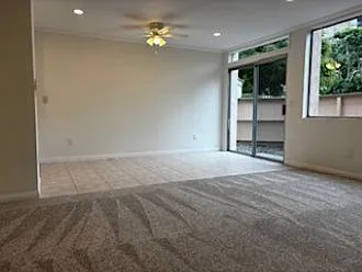 Living room and dining room