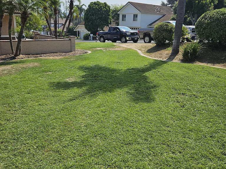 front yard