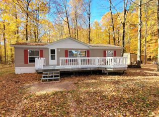 91 N Beech Rd, Walkerville, MI 49459