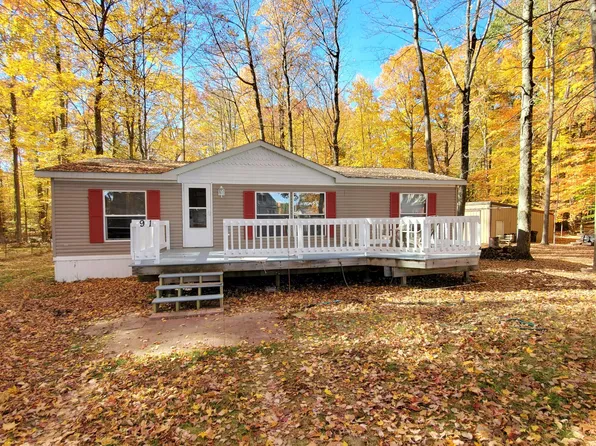 91 N Beech Rd, Walkerville, MI 49459