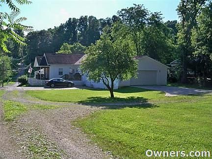 Apple Tree in back yard